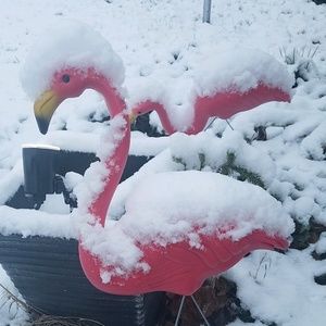 Meet your Posher, Lynn